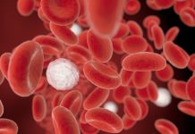 Угроза в наших венах: микропластик обнаружили в артериях