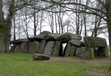 Загадка древней чумы: как эпидемия изменила судьбу неолитических фермеров