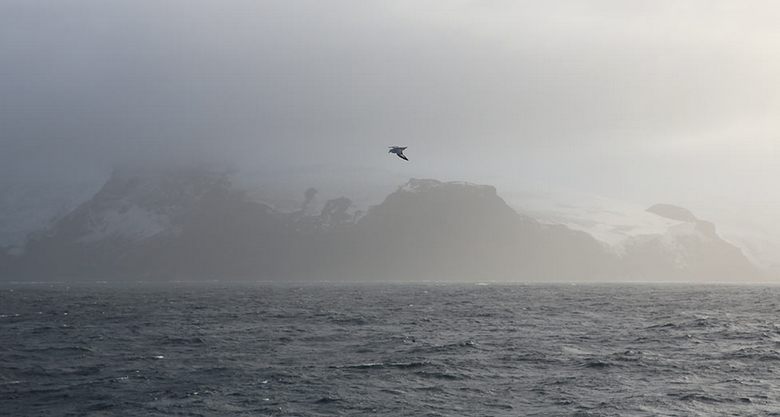 Загадки безлюдного острова Буве