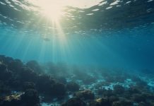 Запасы кислорода в водоемах Земли уменьшаются, обнаружили ученые