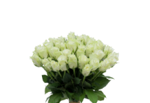 Букет цветов: с поводом и без повода