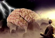 Как мозг интегрирует прошлый опыт, переписывая реальность