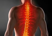 Способности рыбки Данио помогут в лечении повреждения спинного мозга у людей, считают ученые