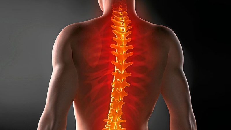 Способности рыбки Данио помогут в лечении повреждения спинного мозга у людей, считают ученые