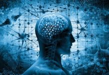 Ученые разработали первое в мире устройство для дистанционного контроля разума