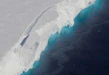 Загадочные объекты подо льдами Антарктиды обнаружили ученые: что скрывают шельфовые ледники?