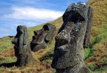 Анализ ДНК показал, что на самом деле произошло на острове Пасхи