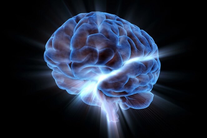 Мозг мужчины меняет свой объем ежедневно