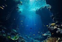 Ученые разгадали тайну загадочных звуков Марианской впадины