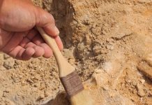 В Татарстане археологи нашли захоронение старше египетских пирамид