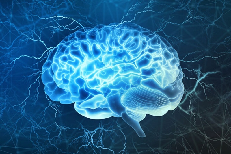 Загадка сознания: мозг продолжает работать после остановки сердца