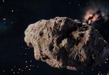 Астероиды могут стать источником пищи для астронавтов, считают ученые