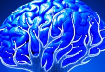 Как мозг структурирует наш жизненный опыт: новое исследование