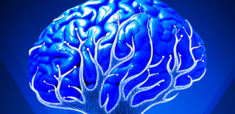 Как мозг структурирует наш жизненный опыт: новое исследование