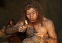 Какой интеллект был у неандертальцев?