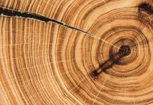 Насколько сильными могут быть солнечные бури, выяснили ученые