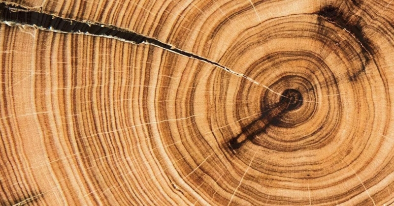 Насколько сильными могут быть солнечные бури, выяснили ученые