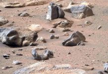 Ровер обнаружил на Марсе камень, похожий на человеческую голову