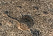 Загадка Эль-Джассасии: таинственные символы пустыни Катара