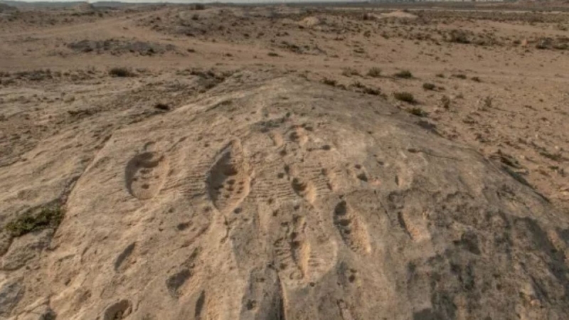 Загадка Эль-Джассасии: таинственные символы пустыни Катара