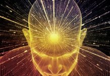 Загадка околосмертных переживаний: наука на пороге новой реальности