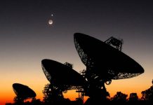 Американский адвокат заявил, что в нашей галактике существует около «шести нечеловеческих видов»