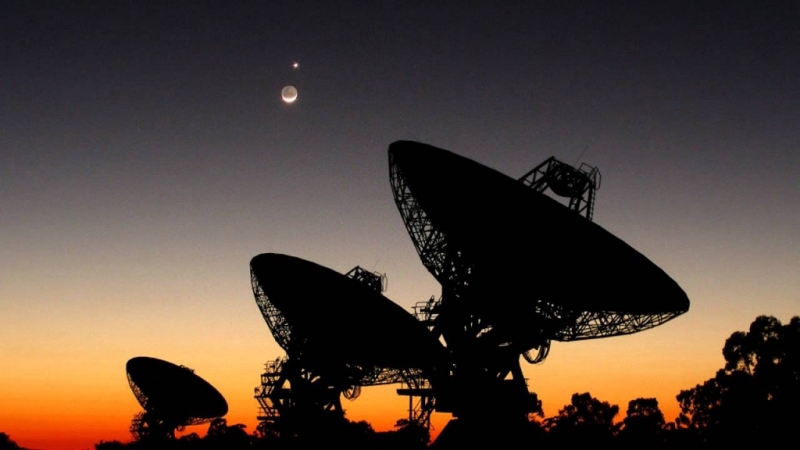 Американский адвокат заявил, что в нашей галактике существует около &laquo;шести нечеловеческих видов&raquo;