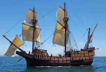 Морская жизнь: сложные условия и неожиданные находки моряков