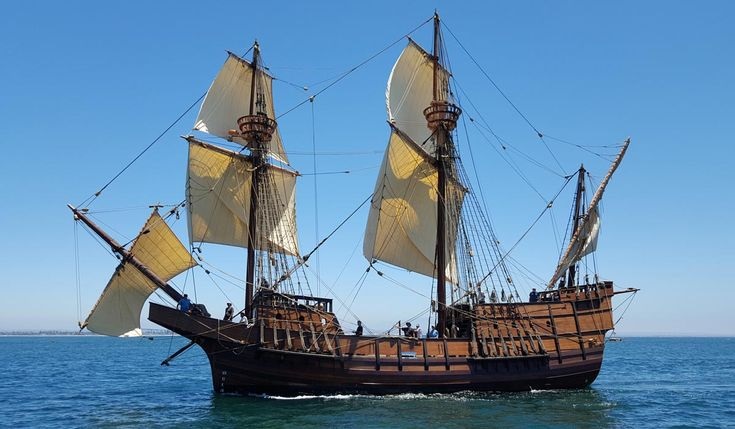 Морская жизнь: сложные условия и неожиданные находки моряков