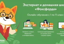 Формы домашнего обучения в школе: семейное обучение как альтернатива традиционному обучению