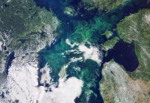 Северная Атлантика становится еще более соленой, обнаружили исследователи