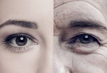 Стремительное старение связано с накоплением антител внутри организма, показали исследования