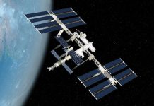 Стволовые клетки в космосе демонстрируют уникальные регенеративные способности