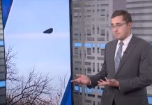 Таинственный объект в небе над Мичиганом вызвал недоумение у местных жителей