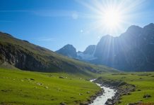 В Альпах туристы случайно обнаружили окаменелости существ, которые жили до появления динозавров