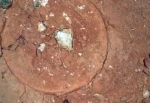 Загадочные зелёные пятна на Марсе: что скрывает Красная планета?