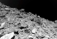 Земная жизнь на астероиде? Учёные обнаружили неожиданный сюрприз