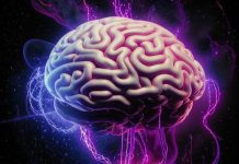 Человеческие мини-мозги в космосе показали неожиданные изменения в развитии