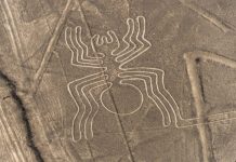 ИИ помогает раскрыть тайну рисунков пустыни Наска