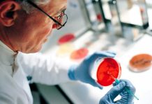 Разработанный учеными препарат от рака прямой кишки показал 100% эффективность