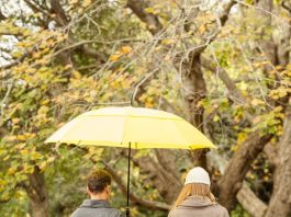 Как юридическая компания помогает решать семейные споры