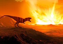 Ученые: Динозавры погибли из-за астероида, а не вулканов