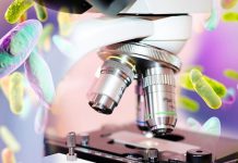 Устойчивость к антибиотикам: угроза, о которой мы не догадываемся