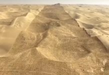 «Великая зелёная стена Китая»: завершено строительство гигантского защитного пояса вдоль пустыни Такла-Макан