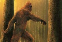 Загадочное существо бродит по Саут-Даунсу, пишут местные СМИ