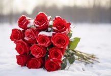 Как продлить жизнь букета роз?