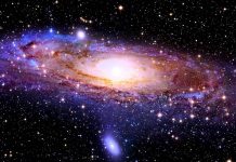 Что думают ученые о существовании внеземной жизни: показало исследование