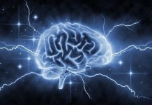 Исследование показало, как мозг людей с афантазией обрабатывает визуальные образы