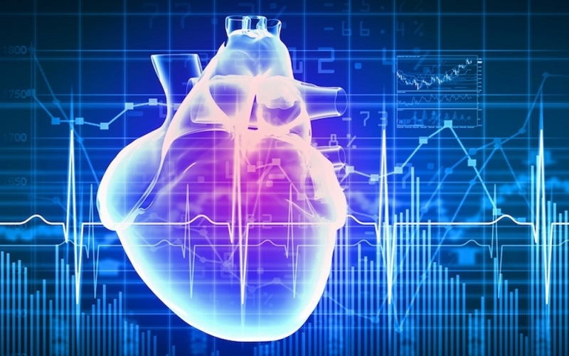 Мозг продолжает работать даже после смерти, обнаружили ученые