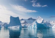 Появление огромных айсбергов в Антарктике не связано с изменением климата, считают экологи